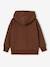 Jongenshoodie bruin - vertbaudet enfant 