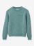 Pull Merinos bleu+vert - vertbaudet enfant 