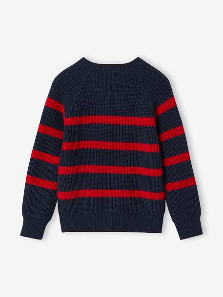 Pull garçon rayé bleu moyen+bordeaux+écru+encre+vert sauge - vertbaudet enfant 
