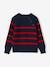 Pull garçon rayé bleu moyen+bordeaux+écru+encre+vert sauge - vertbaudet enfant 