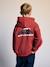Sweat à capuche garçon tomette - vertbaudet enfant 