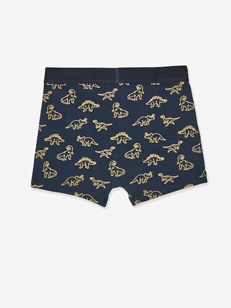Lot de 5 boxers stretch garçon Dino LOT 5 - vertbaudet enfant 