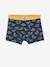Lot de 5 boxers stretch garçon Dino LOT 5 - vertbaudet enfant 