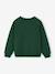 Sweat Harry Potter vert foncé - vertbaudet enfant 