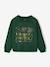 Sweat Harry Potter vert foncé - vertbaudet enfant 