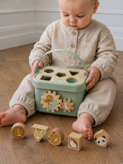 -Boîte à formes en bois FSC®