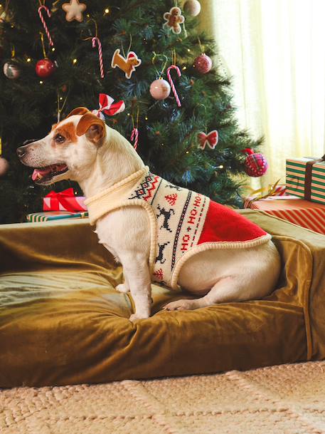 Kersttrui voor hond FAMILY rood - vertbaudet enfant 