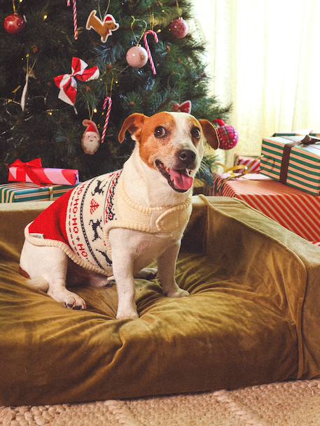 Kersttrui voor hond FAMILY rood - vertbaudet enfant 