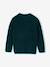 Pull noël manches longues garçon vert foncé - vertbaudet enfant 