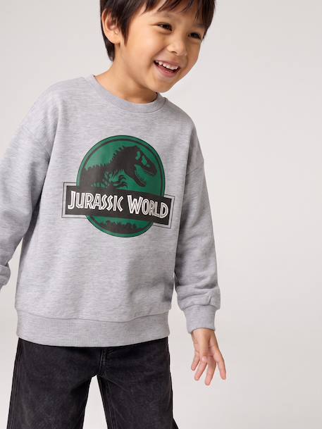 Sweat garçon Jurassic World gris chiné - vertbaudet enfant 