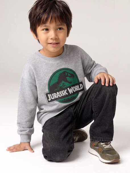 Sweat garçon Jurassic World gris chiné - vertbaudet enfant 