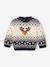 Pull de Noël bébé garçon Capsule Famille marine - vertbaudet enfant 