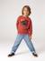 Sweat col rond garçon marine+tomette - vertbaudet enfant 