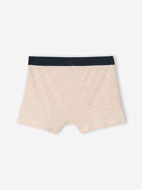 Lot de 5 boxers Pokemon beige chiné - vertbaudet enfant 