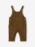 Ensemble salopette chemise bébé garçon olive - vertbaudet enfant 