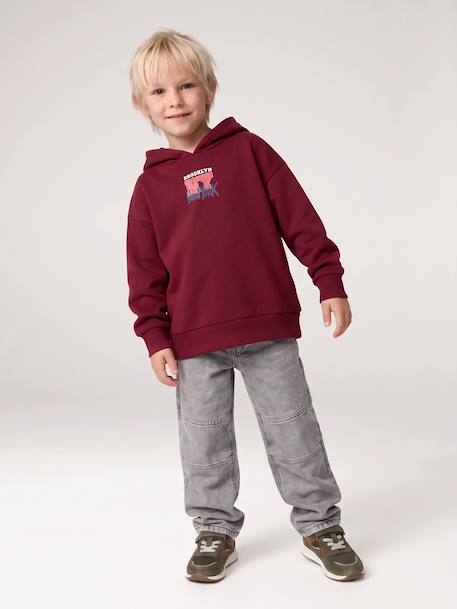 Jongenshoodie gemêleerd rood+marineblauw - vertbaudet enfant 