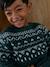 Pull jacquard col rond vert - vertbaudet enfant 