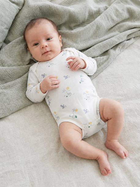 Set van 5 babybody's met lange mouwen ecru - vertbaudet enfant 