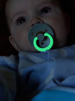 -Set van 2 BIBS Colour-fopspenen, maat 1 van 0 tot 6 maanden