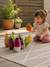 Groentebowlingset LITTLE BIG FRIENDs meerkleurig - vertbaudet enfant 