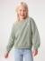 Basic meisjessweater met motief antraciet+donkerpaars+koraal+paars+salie+vanille - vertbaudet enfant 