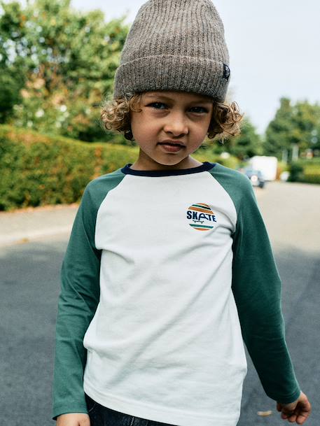 Jongensshirt met lange mouwen bordeauxrood+okergeel+saliegroen - vertbaudet enfant 