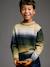 Pull garçon col rond écru - vertbaudet enfant 