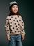 Meisjessweater met ronde hals ecru+ivoor+lichtroze+taupe - vertbaudet enfant 