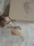 Gourde bouton clic transparente beige - vertbaudet enfant 