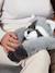 Podcool raton laveur gris - vertbaudet enfant 