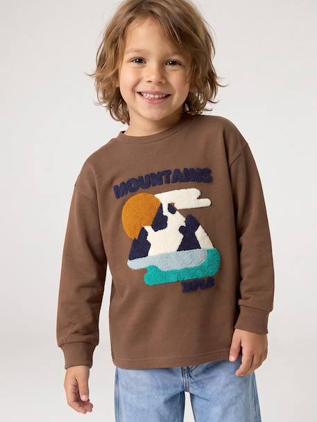 Jongensshirt met lange mouwen hazelnoot+marineblauw - vertbaudet enfant 