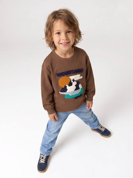 Jongensshirt met lange mouwen hazelnoot+marineblauw - vertbaudet enfant 