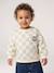 Sweat bébé garçon manches longues vert sauge - vertbaudet enfant 