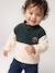 Fleece babysweater met opstaande kraag dennen - vertbaudet enfant 