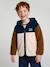Gilet zippé à capuche garçon bleu moyen+vert sapin - vertbaudet enfant 