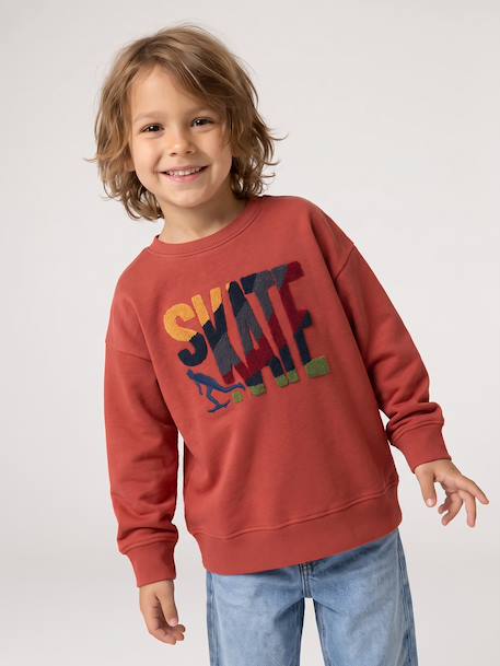 Sweat col rond garçon marine+tomette - vertbaudet enfant 