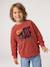 Sweat col rond garçon marine+tomette - vertbaudet enfant 