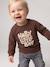 Sweater babyjongen met lange mouwen bruin - vertbaudet enfant 