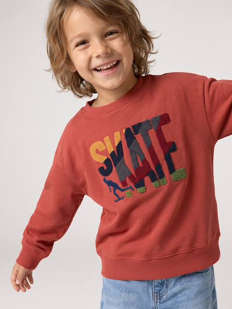 Sweat col rond garçon marine+tomette - vertbaudet enfant 