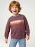 Sweat garçon col rond blanc chiné+mauve - vertbaudet enfant 