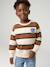 Sweat garçon col rond marine+noisette+pistache - vertbaudet enfant 