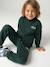Sweat zippé garçon col camionneur marine+rouge+vert sapin - vertbaudet enfant 