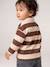 Gestreept polo t-shirt voor baby's met lange mouwen cacao+grijsblauw - vertbaudet enfant 