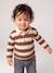 Gestreept polo t-shirt voor baby's met lange mouwen cacao+grijsblauw - vertbaudet enfant 