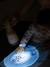 Veilleuse Pixie Torch BLEU PERLE+ROSE DRAGEE+sable+vert sauge - vertbaudet enfant 