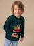 Pull noël manches longues garçon vert foncé - vertbaudet enfant 