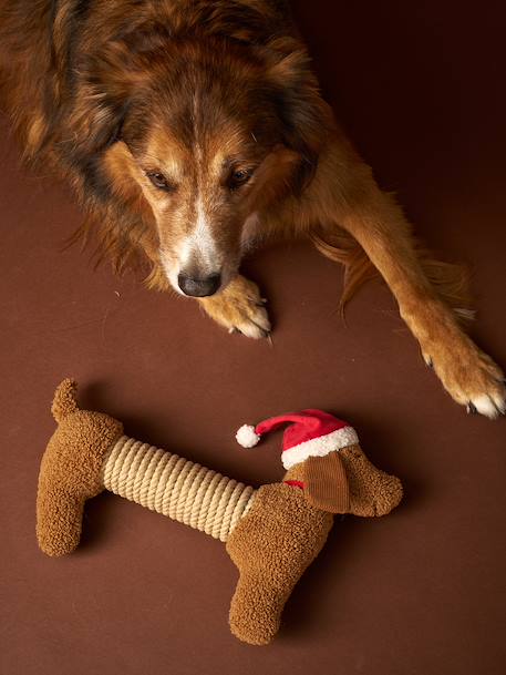 Kerstteckel hondenspeeltje chocoladebruin - vertbaudet enfant 