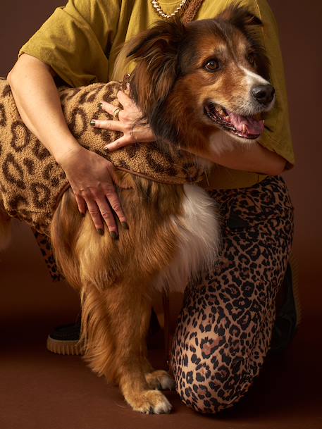 Sherpajas voor honden cappuccino - vertbaudet enfant 