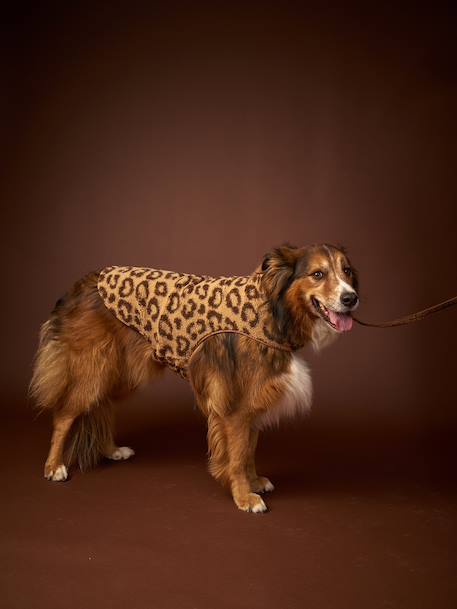 Sherpajas voor honden cappuccino - vertbaudet enfant 