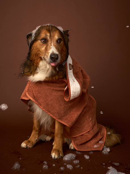 Cape de bain chien coton cappuccino - vertbaudet enfant 